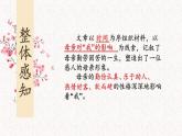 高教版（2023）中職語文拓展模塊上冊第四單元《我的母親》課件