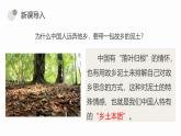 部編高教版2023 中職語文 基礎(chǔ)模塊下冊(cè) 第四單元 鄉(xiāng)土中國(guó)-課件