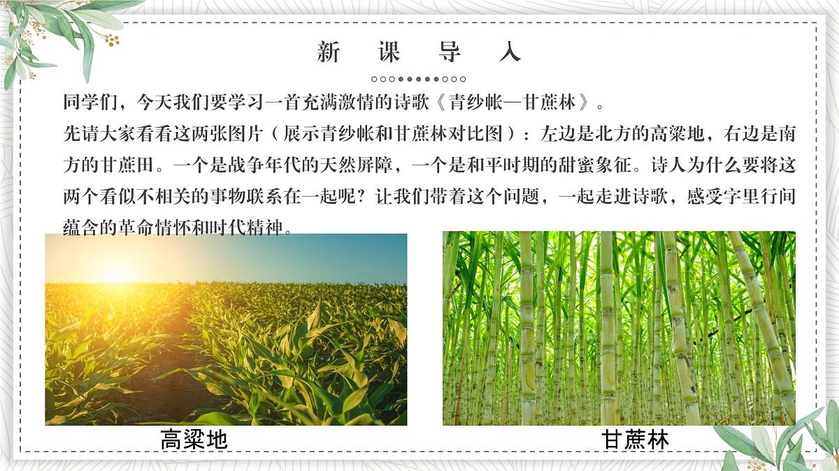 部编高教版2023 中职语文基础模块下册6.2《青纱帐——甘蔗林》-课件第2页