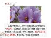 部編高教版2023 中職語文 職業(yè)模塊 第一單元第三課 “探界者”鐘揚(yáng)-課件