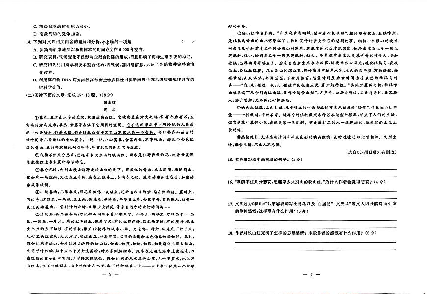 湖南省衡阳市中职2024-2025学年度第二学期 高一 语文5月测试卷（含答案）第3页
