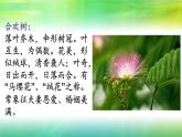 中職語文高教版（中職）基礎(chǔ)模塊 下冊第一單元閱讀與欣賞一 合歡樹 課件