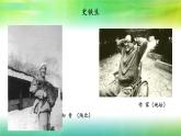 中職語文高教版（中職）基礎(chǔ)模塊 下冊第一單元閱讀與欣賞一 合歡樹 課件