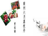 中職語文高教版（中職）基礎(chǔ)模塊 下冊(cè)第二單元 閱讀與欣賞六 南州六月荔枝丹 課件