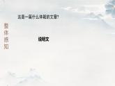 二十三 中國畫與西洋畫 課件