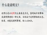 二十三 中國畫與西洋畫 課件