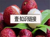 中職語文高教版（中職）基礎(chǔ)模塊 下冊(cè) 第二單元 閱讀與欣賞六 南州六月荔枝丹 課件