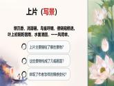 中職  語文 部編高教版(2023) 基礎(chǔ)模塊 下冊 古詩詞誦讀 蘇幕遮  課件