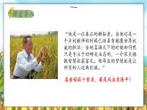 中职语文部编高教版(2023) 基础模块 上册 第五单元二 喜看稻菽千重浪——记首届国家最高科学技术奖获得者袁隆平 课件