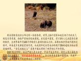 中職語文部編高教版(2023) 基礎(chǔ)模塊 上冊 第五單元二 喜看稻菽千重浪——記首屆國家最高科學(xué)技術(shù)獎獲得者袁隆平 課件