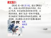 中職 語文 部編高教版(2023)  基礎(chǔ)模塊 上冊 第三單元四 促織 課件