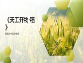 部編高教版中職語(yǔ)文 拓展模塊下冊(cè) 第5單元第2課《稻》-課件