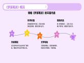 部編高教版中職語(yǔ)文 拓展模塊下冊(cè) 第5單元第3課《陽(yáng)燧照物》課件