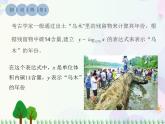【人教版】中职数学（基础模块）上册：4.2《对数与对数函数》课件+教案