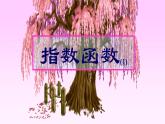 高教版中职数学基础模板上册4.2.1指数函数及其图像与性质课件PPT