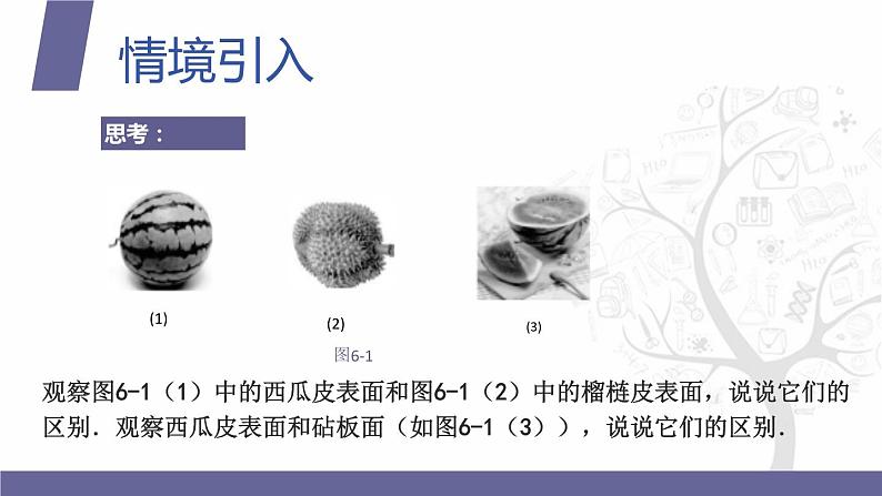 北师大版《中职数学（拓展模块一 上册）》第48课 平面的概念、表示和画法 课件第3页