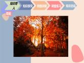 中职数学拓展模块6.3.3  直线与平面所成的角 课件