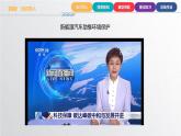 中职数学北师大版基础模块上册4.2.2 指数函数的性质 课件+教案