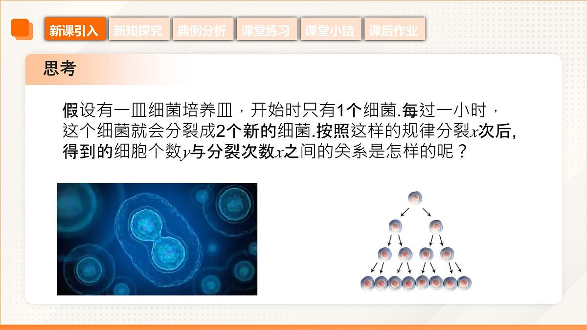 高教版2023修订版·高教版基础模块 5.2 指数函数  课件第6页
