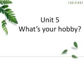 第1册-Unit 5《What’s your hobby》ppt课件1