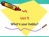 第1册-Unit 5《What’s your hobby》ppt课件3