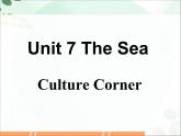 【语文版】中职英语拓展模块：Unit 7《Western Culture》ppt课件（2）