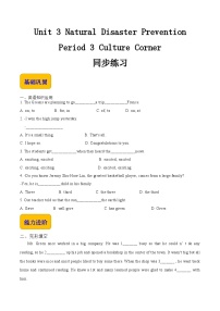 中职英语Culture Corner同步训练题