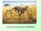 【语文版】中职英语基础模块下册：Unit 9《Advertisement》ppt课件（3）