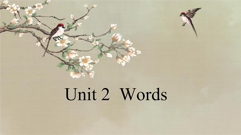 Unit 2 Transportation 单词讲解课件 高一上学期中职英语高教版（2021）基础模块101