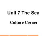 【语文版】中职英语拓展模块：Unit 7《Western Culture》ppt课件（2）