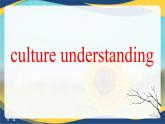 Unit 1 Festivals around the world Culture Understanding（課件）-【中職專用】高二英語同步精品課堂（高教版2023修訂版·基礎(chǔ)模塊3）