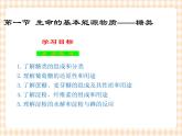 中职化学第7章《生命中的基础营养物质》课件