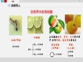 羧酸衍生物第一课时羧酸课件PPT
