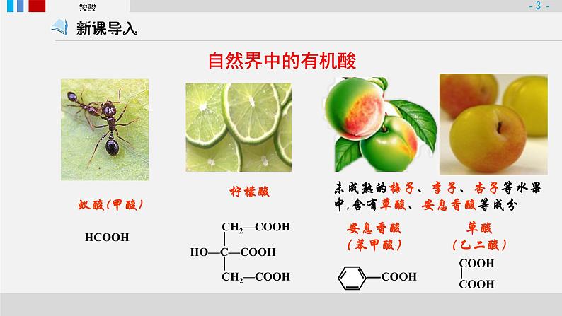 羧酸衍生物第一课时羧酸课件PPT第3页