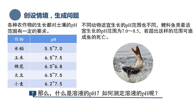 中职化学 高教版2021 农林牧渔类 同步课堂 主题三 第二节 水的离子积和溶液的pH（课件）03