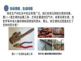 中职化学 高教版2021 农林牧渔类 同步课堂 主题二 第一节 氧化还原反应（课件）