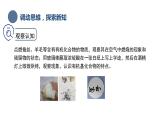 中职化学 高教版2021 农林牧渔类 同步课堂 主题五 第一节 有机化合物的特点和分类（课件）