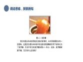 中职化学 高教版2021 农林牧渔类 同步课堂 主题六 第一节 糖类（课件）
