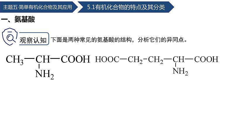 中职化学 高教版2021 农林牧渔类 同步课堂 主题六 第二节 蛋白质（课件）06