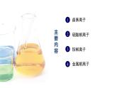 中职化学 高教版2021 农林牧渔类 同步课堂 主题四 第三节 常见阴阳离子的检验（课件）