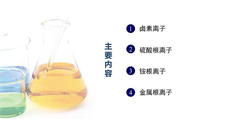 中职化学 高教版2021 农林牧渔类 同步课堂 主题四 第三节 常见阴阳离子的检验（课件）05