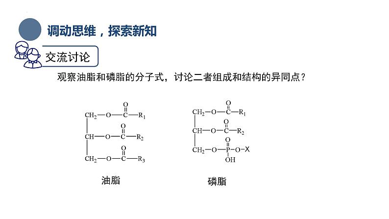 中职化学 高教版2021 农林牧渔类 同步课堂 专题三 第二、三节 类酯和纤维素（课件）05