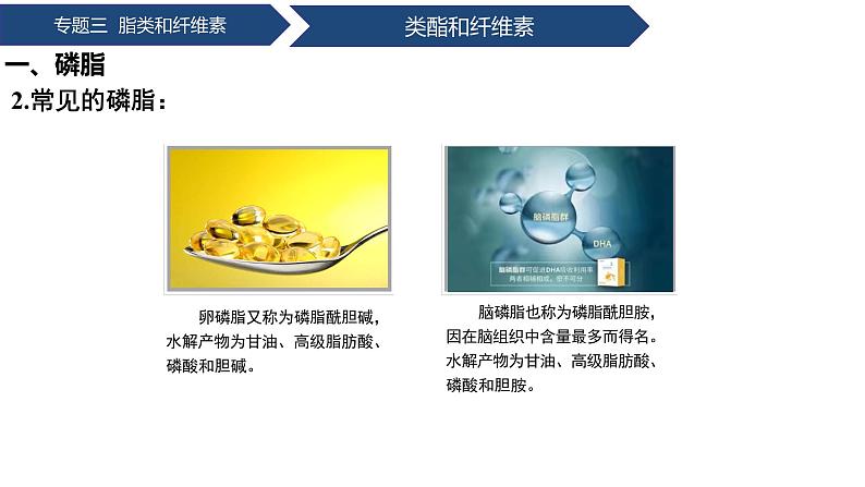 中职化学 高教版2021 农林牧渔类 同步课堂 专题三 第二、三节 类酯和纤维素（课件）07