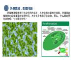 中职化学 高教版2021 农林牧渔类 同步课堂 专题四 第一节 杂环化合物（课件）