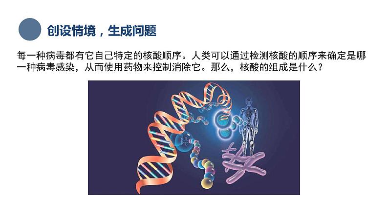 中职化学 高教版2021 农林牧渔类 同步课堂 专题四 第三节 核酸（课件）03