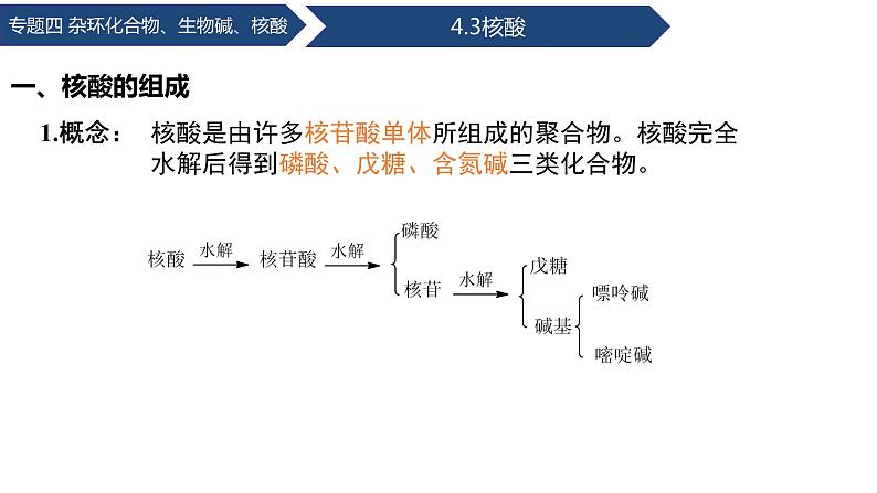 中职化学 高教版2021 农林牧渔类 同步课堂 专题四 第三节 核酸（课件）05