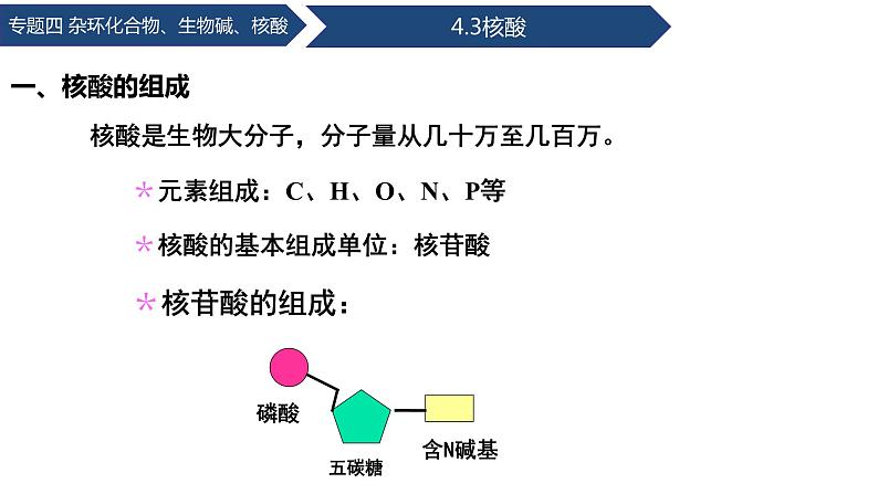 中职化学 高教版2021 农林牧渔类 同步课堂 专题四 第三节 核酸（课件）06