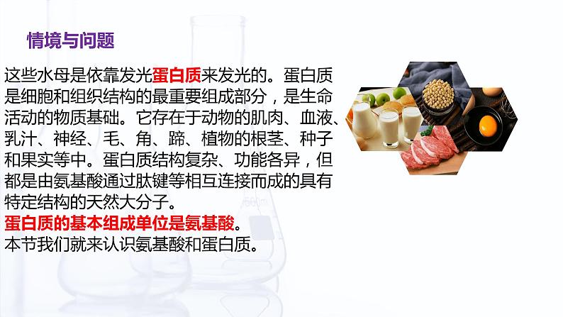 6.2 蛋白质（课件）【中职专用】高中化学（高教版2021医药卫生类）第4页