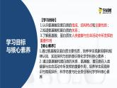 主题六 第二节 生命活动的物质基础——蛋白质【中职专用】高中化学（高教版2021加工制造类）  课件+同步练习含解析卷