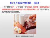 主题六 第二节 生命活动的物质基础——蛋白质【中职专用】高中化学（高教版2021加工制造类）  课件+同步练习含解析卷